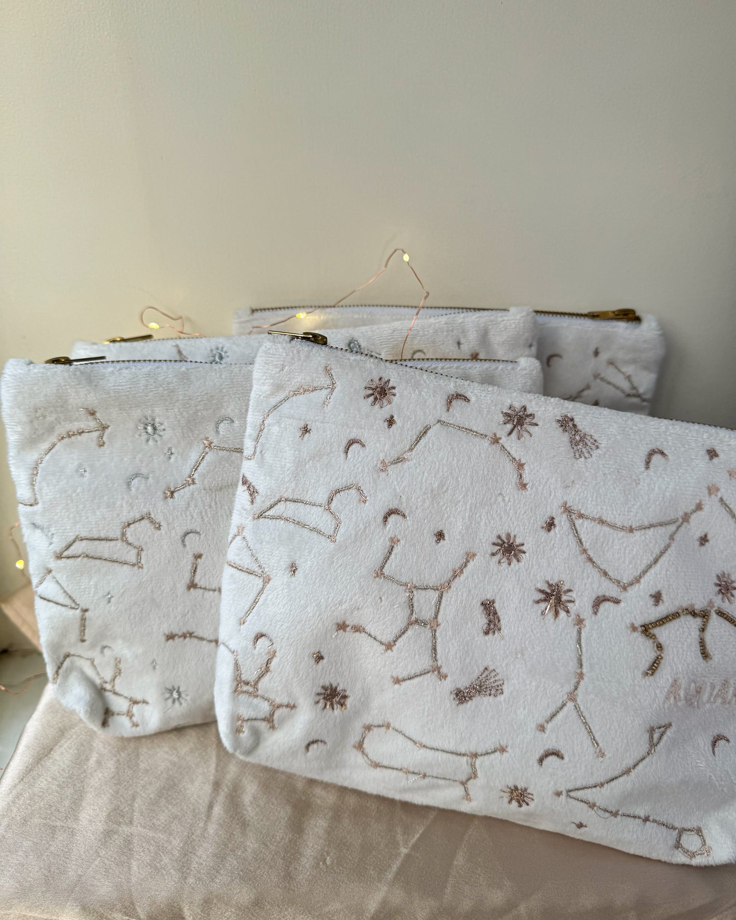 ZODIAC ESSENTIALS POUCH